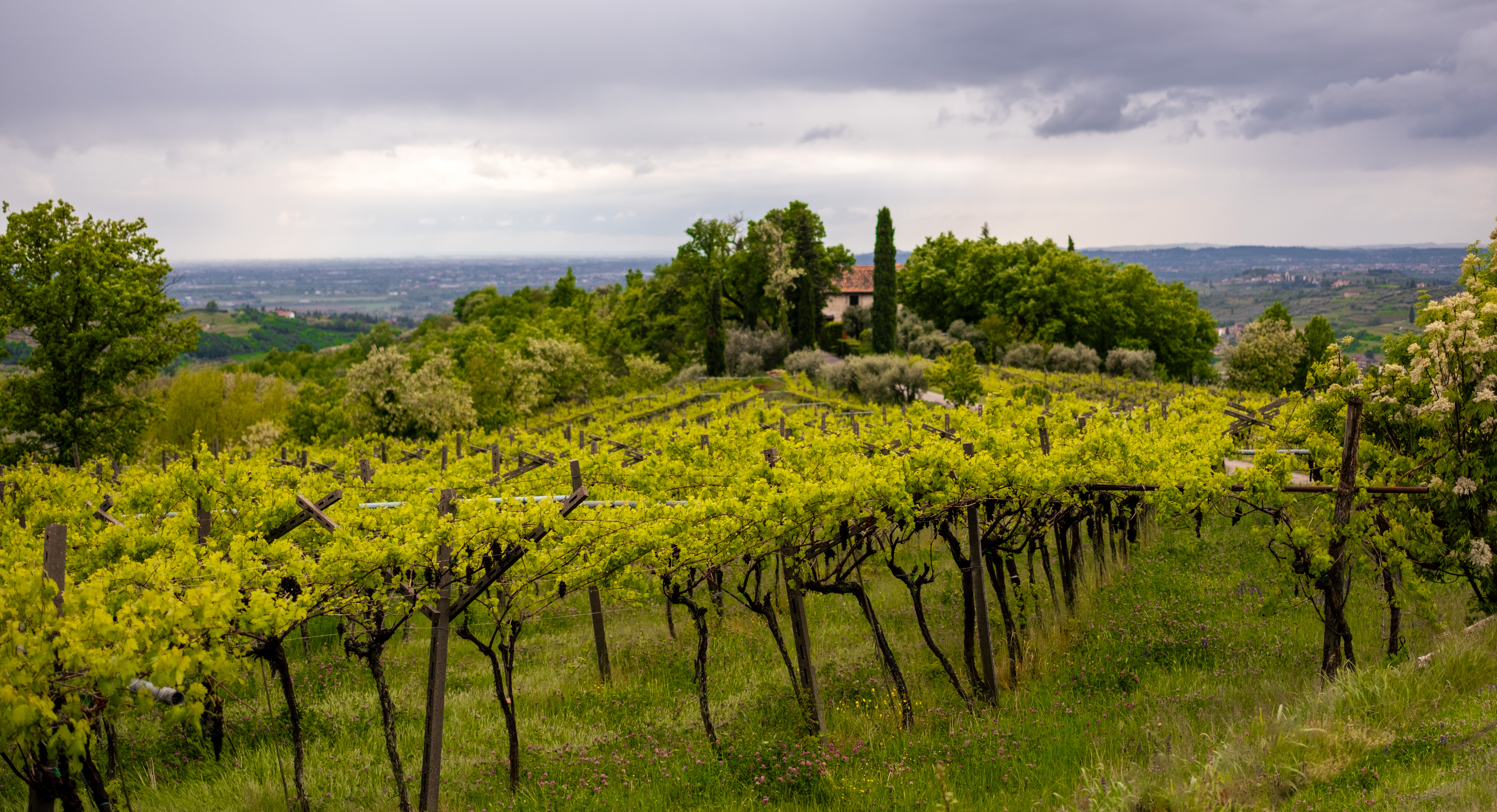 2024 04 23  xt 5   2202